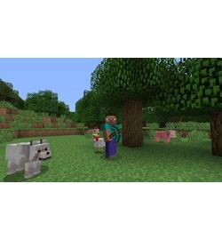 Minecraft - PlayStation 3 Edition