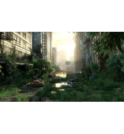 The Last Of Us