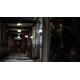 Max Payne 3