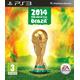 2014 FIFA World Cup Brazil